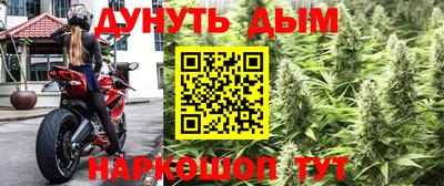 Альфа ПВП Камышлов