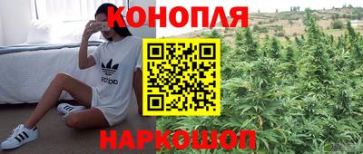 Альфа ПВП Камышлов