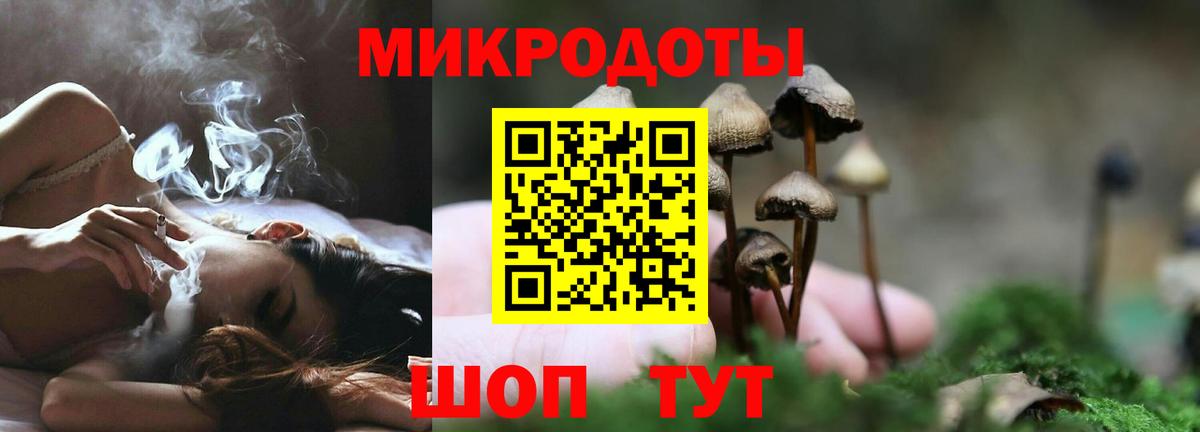 Кулебаки  Галлюциногенные грибы MAGIC MUSHROOMS  Вход с VPN 